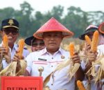 Bupati Lampung Selatan H. Nanang Ermanto menghadiri acara Panen Raya Jagung jenis hibrida varietas advanta 123